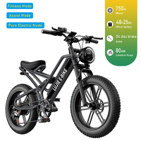 Moto électrique pour adultes WindChaser 48V, en alliage d'aluminium, 7 vitesses, batterie 15Ah/25Ah, porte-bagages arrière, freins à disque avant/arrière