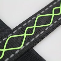 Collier lumineux LED Argyle pour cheval, en polyester rembourré, avec fermeture à boucle/bouton, style classique et tendance, vente en gros usine