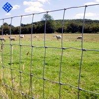 Clôture de ferme pour chevaux, cerfs, chèvres, bovins, volailles, maille carrée soudée durable avec fil de fer galvanisé pour usage agricole