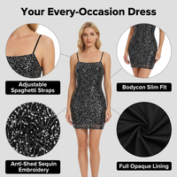 Robe de soirée moulante en maille à paillettes pour femme, bretelles spaghetti, doublure opaque, tenue de club