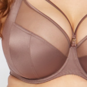 Di alta qualità classico Sexy ricamato in <span class=keywords><strong>Tulle</strong></span> <span class=keywords><strong>trasparente</strong></span> a copertura completa reggiseni taglie forti per le donne - Product Image 5