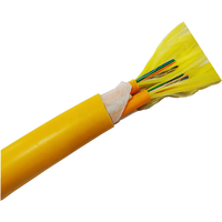 Cable de Fibra Óptica Flexible Aislado para Interiores con 10 Conductores para Comunicación