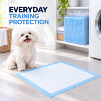 Tapis absorbants jetables pour chiens, à drainage rapide, avec noyau en pâte à haute absorption et barrière imperméable, pour la maison et les centres de séjour canin, direct usine