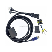 3 in 1 keduanya digunakan di ECU300/ MP48/2568D/D06 kabel antarmuka Cng untuk Kit Ecu kabel Usb Kit Ecu kualitas tinggi