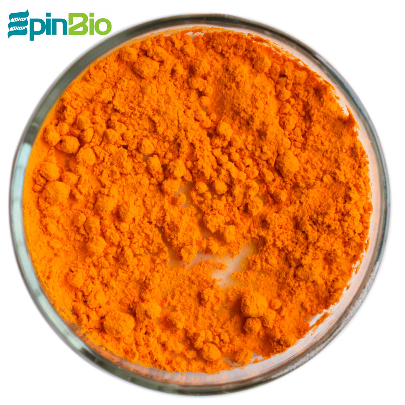 Epinbio предоставляет экстракт куркумы, 95% Чистый Порошок Куркумы