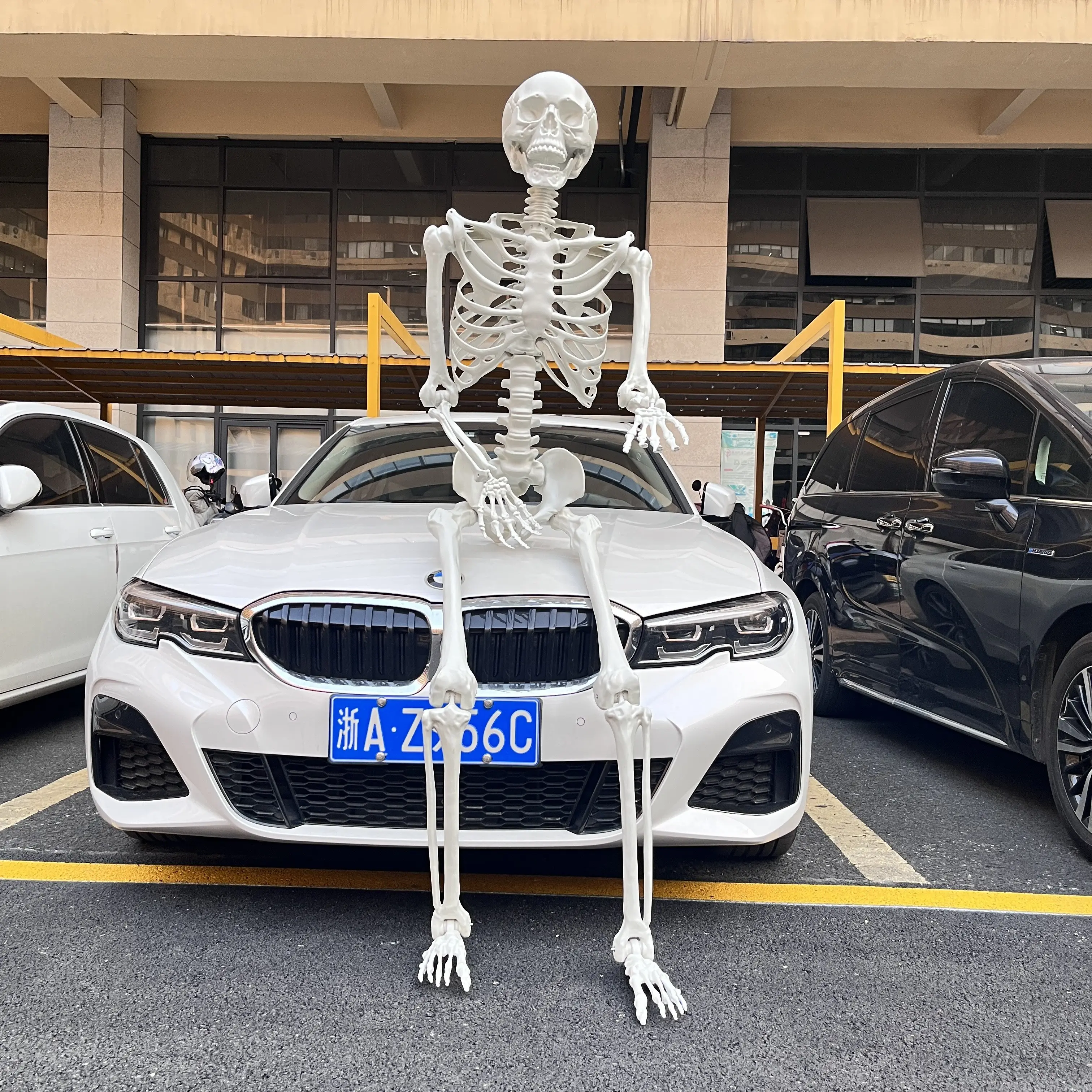 Décorations d'Halloween Pose-N-Stay Accessoires complets du corps 7ft Squelettes d'Halloween pour la décoration des vacances