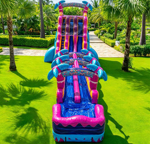 Toboggan <span class=keywords><strong>aquatique</strong></span> géant double usage en bâche PVC pour extérieur, <span class=keywords><strong>parc</strong></span> <span class=keywords><strong>aquatique</strong></span> gonflable Castillo Inflable Con <span class=keywords><strong>Tobogan</strong></span> Grande - Product Image 2