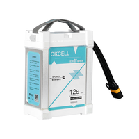 OKCELL 12S 44.4V 16AH Batterie Li-Ion ternaire BMS AS150U Plug Garantie 1 an pour Drones agricoles Protection des plantes Longue durée de vie