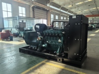 Groupe électrogène au gaz de 300 kW Gaz naturel Biogaz 1800 tr/min Moteur Weichai Démarrage électrique 24 V CC 50/60 Hz Économie d'énergie Haute efficacité