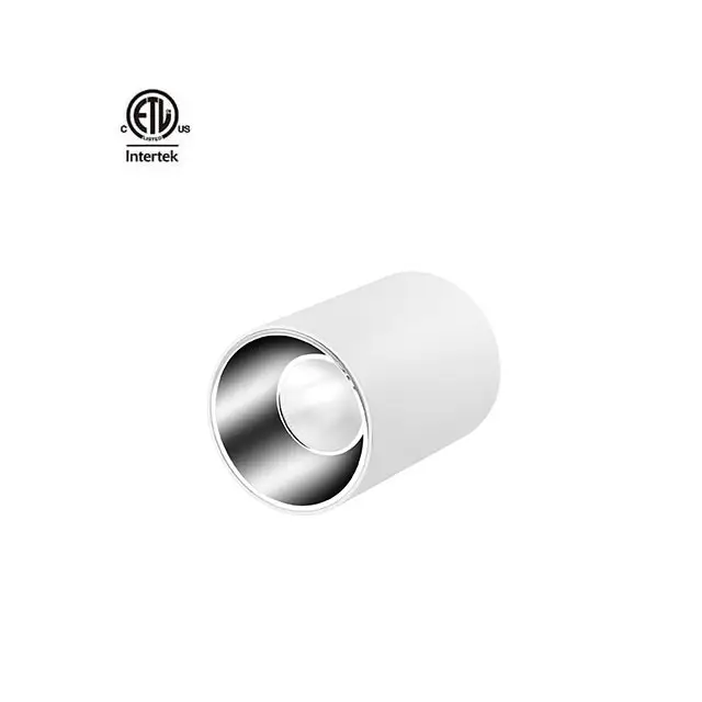 Daytonled Master B Series Round Square ETL cETL Cert 15W 20W 30W 40W CRI90 CRI97 commercial pendant cylinder surface downlight
