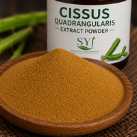 Extrait de Cissus Quadrangularis en poudre 10:1 - Extrait végétal naturel pour l'utilisation dans les aliments et les boissons
