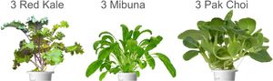 Click Grow Lot de 9 petits pots en plastique minimalistes pour la décoration intérieure et le centre commercial. - Product Image 5