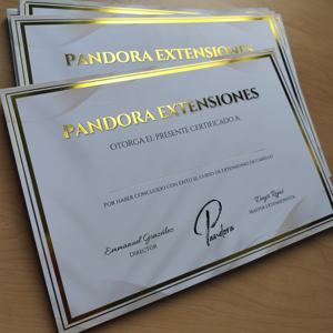 Certificados Personalizados con Estampado en Lámina Dorada - Certificados de Premio Impresos en CMYK con Borde Dorado para Capacitación y Reconocimiento - Product Image 3