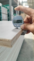Contreplaqué mélaminé 18 mm 4x8 à âme en eucalyptus, colle phénolique WBP, certifié FSC CARB P2 ENF, coupe nette, pour présentoirs commerciaux