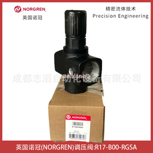 Régulateur de pression Norgren R17-B00-RGSA 17 bars avec manomètre pour traitement de l'air - Product Image 2