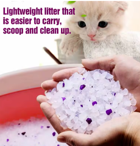 Litière <span class=keywords><strong>pour</strong></span> <span class=keywords><strong>chat</strong></span> OEM économique, sable de silice cristalline écologique et durable, fournisseurs de confiance - Product Image 3