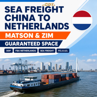 Agent maritime de la Chine vers les États-Unis pour le fret maritime FBA, dédouanement et livraison porte-à-porte DDP