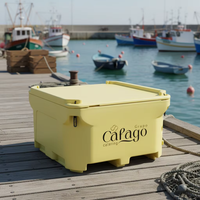 Conteneurs isothermes modernes en plastique étanche de 460 L, réfrigérateur thermoélectrique, conservation de la glace pendant 10-15 jours, pour poissons, aliments et conserves
