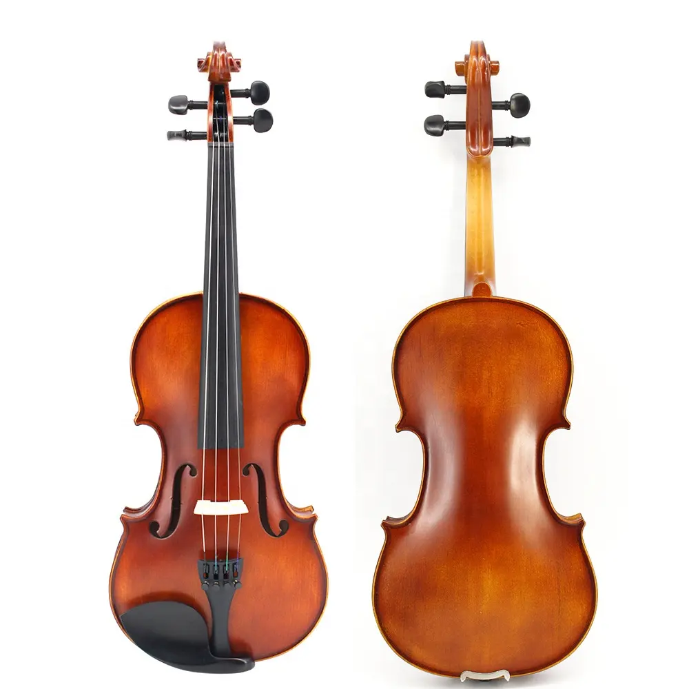 Professional Violin Instrument 4/4 Student Violin With Case