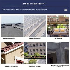 Revestimiento Impermeable de Poliuretano para Protección de Edificios Exteriores, Reparación de Goteras en Techos y Paredes con Garantía de 5 Años - Product Image 5