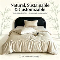 Drap-housse en bambou tissé jacquard écologique et biologique rafraîchissant 300TC, style moderne, ensemble de literie 4 pièces pour l'été