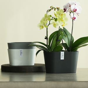 DEREK V--Venta Directa <span class=keywords><strong>de</strong></span> Fábrica, <span class=keywords><strong>Macetas</strong></span> y Jardineras para Decoración del Hogar, <span class=keywords><strong>Macetas</strong></span> Minimalistas Ecológicas para Plantas <span class=keywords><strong>de</strong></span> Interior - Product Image 4
