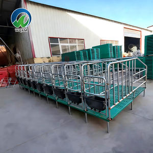 Nouvel équipement d'élevage porcin, cages, caisses de gestation, enclos pour porcs, type A, acier galvanisé à chaud, écologique - Product Image 5