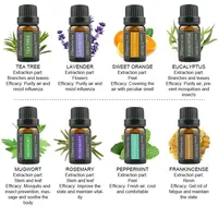 Usine organique 100% pure de qualité thérapeutique lavande huile essentielle d'orange douce mélange en vrac huile aromatique d'aromathérapie Logo personnalisé