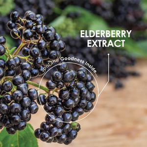 Beste Qualität Schwarzer Holunder beerex trakt Anthocyane Holunder frucht extrakt Pulver - Product Image 4