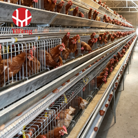 Cage à poules pondeuses de type A à 3 niveaux avec abreuvoir automatique à tétine, courroie de fumier OEM, collecte d'œufs, cage en batterie galvanisée pour volailles