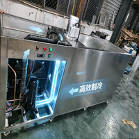 Fabriekslevering 1 ton ijsblokjesmachine pekel Zuid-Afrika ijsblokjesmachine maker machine