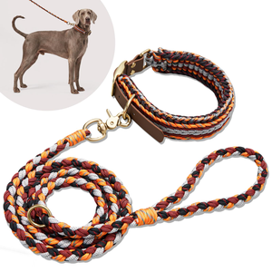 Conjunto de Collar y Correa para Perro Tejidos a Mano: Diseño de Bloques de Color, Hebilla Reforzada Premium - Product Image 1
