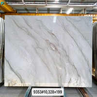 Dalles de quartzite naturel Mont Blanc du Brésil, veines grises, design moderne, surface polie, écologique, durable, imperméable