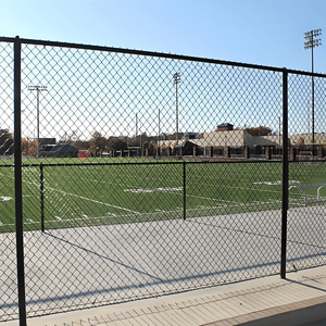 Clôture en treillis métallique antirouille pour l'environnement côtier et extérieur australien - Product Image 5