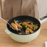 Friteuse Électrique Portable Mini en Acier Inoxydable 1350W avec Mode Bouton Intelligent, Double Cuiseur Vapeur, Prise 1,5 Mètre pour Utilisation en Cuisine Extérieure