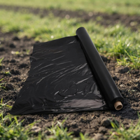 Film de paillage agricole compostable robuste en PBAT PLA noir pour le contrôle des mauvaises herbes et l'humidification du sol dans les champs agricoles