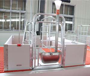 Cages pour porcs, stylo de mise bas pour porcelets avec plancher à lattes en plastique pour pépinière de bétail - Product Image 2