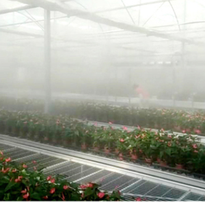 Vòi Phun Tưới Phun Sương Bằng Đồng <span class=keywords><strong>0.4Mm</strong></span> Orifice Cho Hệ Thống Vòi Phun Sương Nhà Kính - Product Image 3