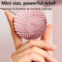 Ballon de massage multifonctionnel pour yoga et Pilates, avec inserts magnétiques et picots, pour la thérapie musculaire des pieds, des épaules et des jambes