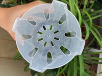 Fournitures de jardin prix de gros bon marché jardinière d'orchidées transparente pp pots en plastique transparent pour plantes