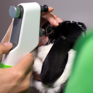 Tonómetro de Rebote TONOVET Plus de Nueva Generación, Dispositivo Portátil Veterinario para Medir la Presión Intraocular en Perros, Reutilizable - Product Image 4