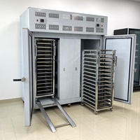Congélateur industriel à rayonnement rapide (-40°C à -70°C) avec chariot de transport pour la transformation alimentaire - Vente directe usine