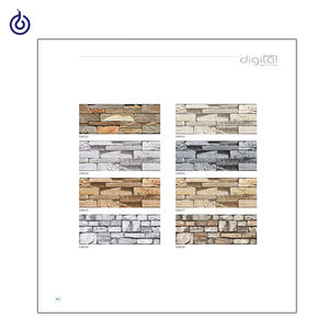Azulejos de Pared MATT Elevation de la India, Estilo Rústico, 200x300 mm, Detalles para Interiores, Aislamiento Térmico, Ladrillo Refractario para Casa, Centro Comercial, Salón - Product Image 4