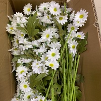 R-038 Bunga Daisy Putih Buatan dari Sutra, Bunga Chamomile untuk Dekorasi Meja Tengah, Pernikahan, Rumah, Taman, dan Rangkaian Bunga
