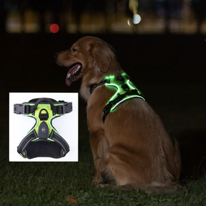 เสื้อกั๊กนิรภัยไฟ <span class=keywords><strong>LED</strong></span> ปรับได้กันน้ำสำหรับสุนัขเสื้อกั๊กสะท้อนแสงแบบชาร์จไฟได้ - Product Image 6