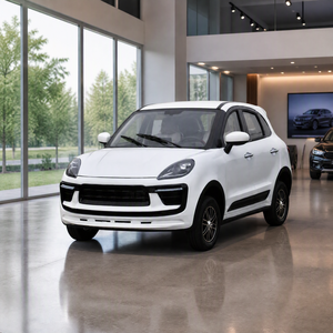 Großhandel 4-Türer Mini Elektroauto EWG COC-Zertifiziert Hochgeschwindigkeits-Elektrofahrzeug für Erwachsene Städtischer Transport - Product Image 2