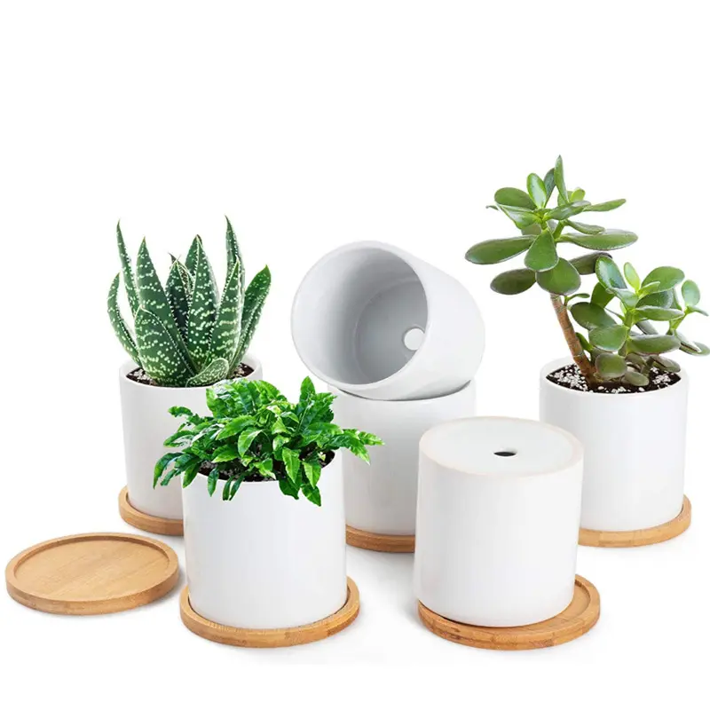 Ceramic White Creative Flowerpot Hydroponic Plant Storage Pot