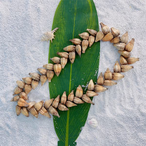 Kalung Tradisional Pria Samoa Vintage 100CM Grosir, Kalung Biji Alami dengan Simbolisme Roman Reigns untuk Hadiah - Product Image 5