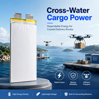 Baterai Drone 3.7V 52000mah 350wh/kg Sel Baterai Semi Solid State Densitas Energi Tinggi untuk Baterai Drone Lipo