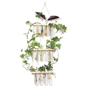 Seeking Excellence Wall Mounted Hydroponic Plant Holder Wooden Rack With Glass Test Tubes For Indoor Green Decor - Product Image 5